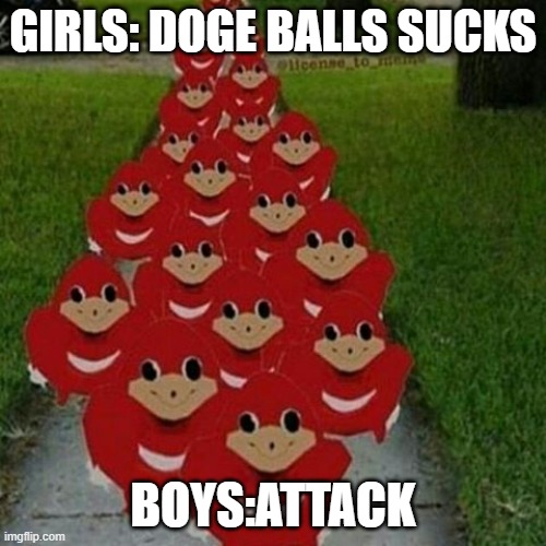 Ugandan knuckles army | GIRLS: DOGE BALLS SUCKS; BOYS:ATTACK | image tagged in ugandan knuckles army | made w/ Imgflip meme maker