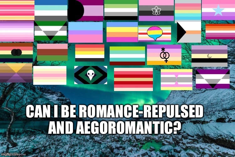 Northern Lights Announcement | CAN I BE ROMANCE-REPULSED AND AEGOROMANTIC? | image tagged in northern lights announcement | made w/ Imgflip meme maker