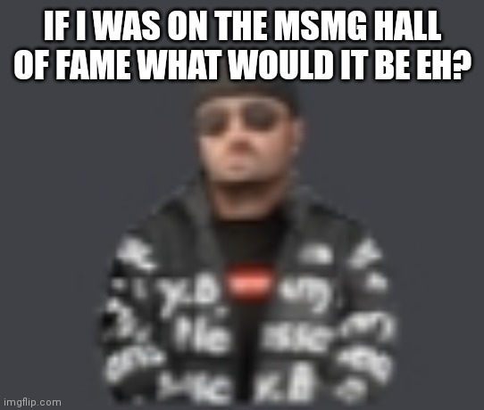 terrorist drip | IF I WAS ON THE MSMG HALL OF FAME WHAT WOULD IT BE EH? | image tagged in terrorist drip | made w/ Imgflip meme maker
