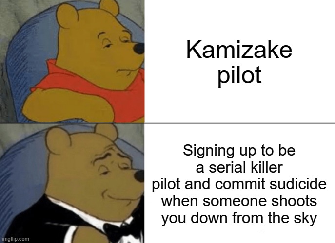 Kamizake pilots rule | Kamizake pilot; Signing up to be a serial killer pilot and commit sudicide when someone shoots you down from the sky | image tagged in memes,tuxedo winnie the pooh | made w/ Imgflip meme maker