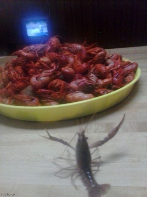 loss | image tagged in crawfishno | made w/ Imgflip meme maker