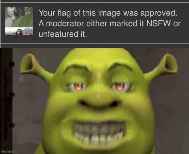 image tagged in shrek yesh | made w/ Imgflip meme maker
