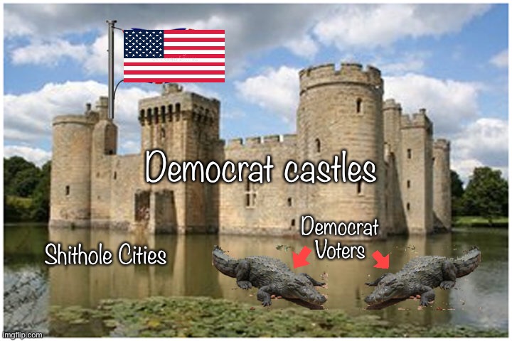 Blue District Reality 2021 (The Swamp) | Democrat castles; Democrat Voters; Shithole Cities | image tagged in memes,new normal,not funny,liberal logic,liberal hypocrisy,drain the swamp | made w/ Imgflip meme maker