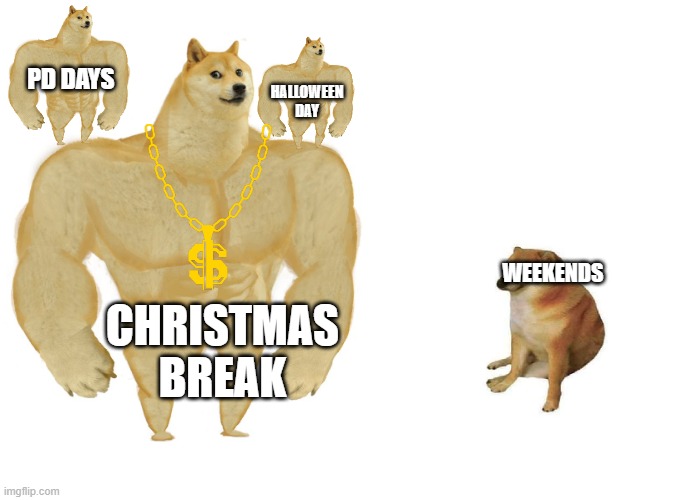 School holidays -_- | PD DAYS; HALLOWEEN DAY; WEEKENDS; CHRISTMAS BREAK | image tagged in big dog small dog | made w/ Imgflip meme maker