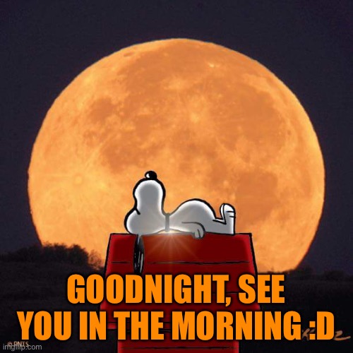 Goodnight :D | GOODNIGHT, SEE YOU IN THE MORNING :D | image tagged in goodnight | made w/ Imgflip meme maker