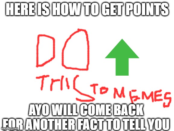 up with upvotes | HERE IS HOW TO GET POINTS; AYO WILL COME BACK FOR ANOTHER FACT TO TELL YOU | image tagged in blank white template | made w/ Imgflip meme maker