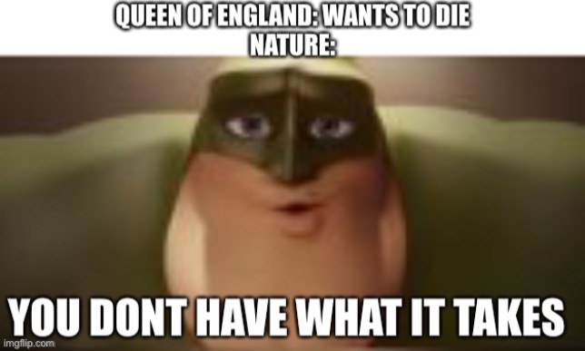 I will upvote your comment if you can name the character (not begging) | image tagged in memes,funny,queen,queen elizabeth,immortal,stop reading the tags | made w/ Imgflip meme maker