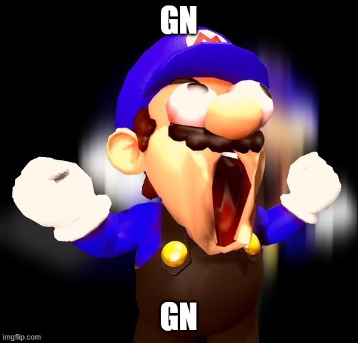 SMG3 Scream | GN; GN | image tagged in smg3 scream | made w/ Imgflip meme maker