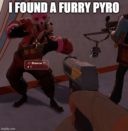 I FOUND A FURRY PYRO | made w/ Imgflip meme maker