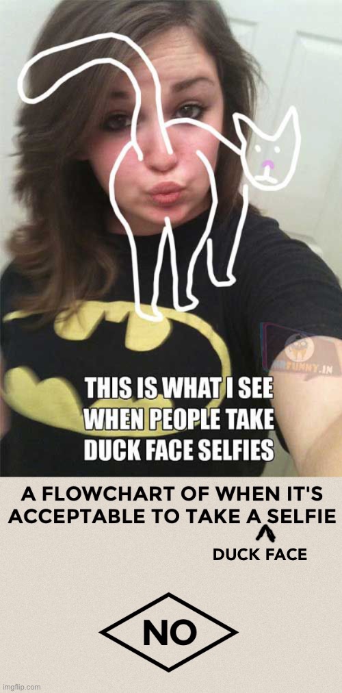 Please Try To Stop With All the Vanity | DUCK FACE | image tagged in funny memes,selfies,duck face | made w/ Imgflip meme maker