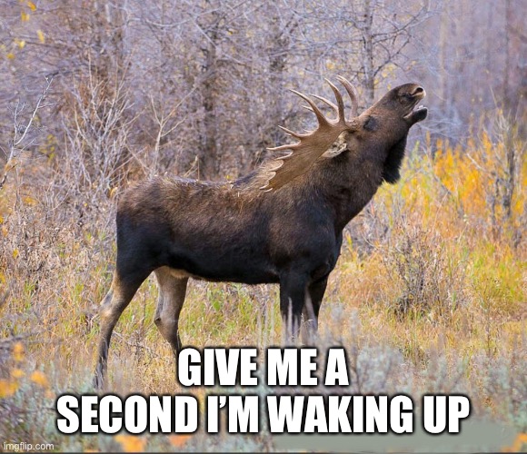 GIVE ME A SECOND I’M WAKING UP | made w/ Imgflip meme maker