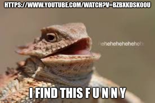 >:) | HTTPS://WWW.YOUTUBE.COM/WATCH?V=BZBXKDSK00U; I FIND THIS F U N N Y | image tagged in heheheheh dragon,heh | made w/ Imgflip meme maker