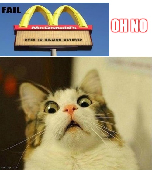 Scared Cat at McDonalds | OH NO | image tagged in memes,scared cat,cats | made w/ Imgflip meme maker