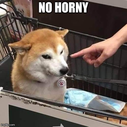 No horny | NO HORNY | image tagged in no horny | made w/ Imgflip meme maker