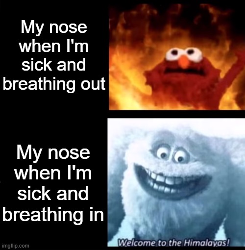 Hot and cold | My nose when I'm sick and breathing out; My nose when I'm sick and breathing in | image tagged in hot and cold | made w/ Imgflip meme maker