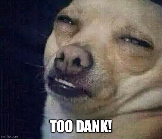 Too Dank | TOO DANK! | image tagged in too dank | made w/ Imgflip meme maker