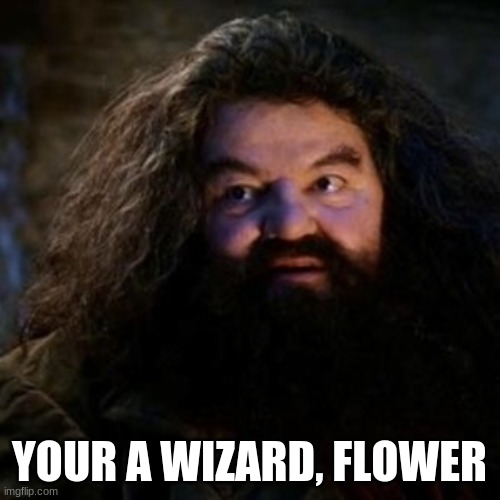 You're a wizard harry | YOUR A WIZARD, FLOWER | image tagged in you're a wizard harry | made w/ Imgflip meme maker