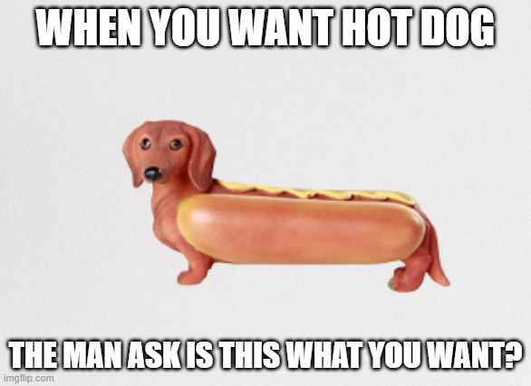 Hot dog memes | WHEN YOU WANT HOT DOG; THE MAN ASK IS THIS WHAT YOU WANT? | image tagged in memes | made w/ Imgflip meme maker