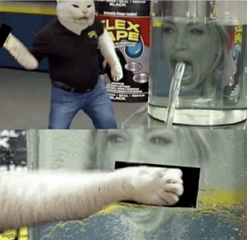 image tagged in memes,cat,woman yelling at cat,phil swift,flex tape | made w/ Imgflip meme maker