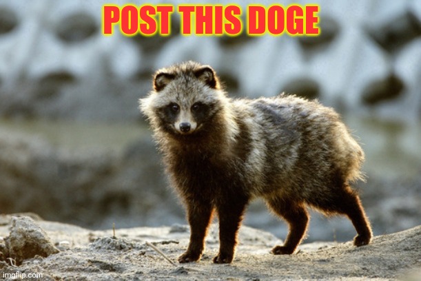 Whoever banned me for posting dogs is abusing mod. | POST THIS DOGE | image tagged in i alreasy read the rules,fake dogs are allowed,as long as i dont post too many,3 per day is legal | made w/ Imgflip meme maker