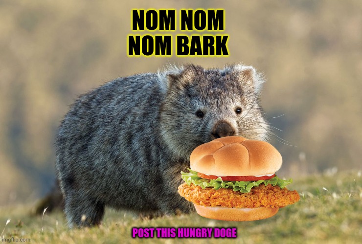 Post this dog | NOM NOM NOM BARK POST THIS HUNGRY DOGE | image tagged in post this dog,reposts,chicken sandwich,cute puppies,doggo week | made w/ Imgflip meme maker