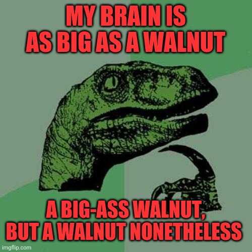 Philosoraptor Meme | MY BRAIN IS AS BIG AS A WALNUT; A BIG-ASS WALNUT, BUT A WALNUT NONETHELESS | image tagged in memes,philosoraptor | made w/ Imgflip meme maker