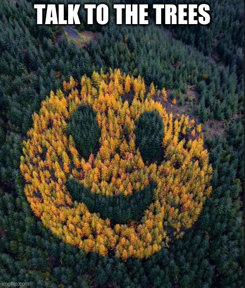Why vote? You may as well ... | TALK TO THE TREES | image tagged in tree smile | made w/ Imgflip meme maker