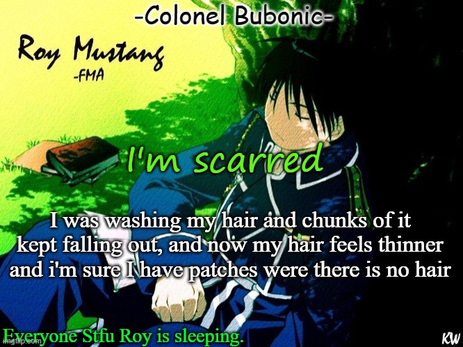 I don't wanna loose my hair ;~; | I'm scarred; I was washing my hair and chunks of it kept falling out, and now my hair feels thinner and i'm sure I have patches were there is no hair | image tagged in roy nap | made w/ Imgflip meme maker