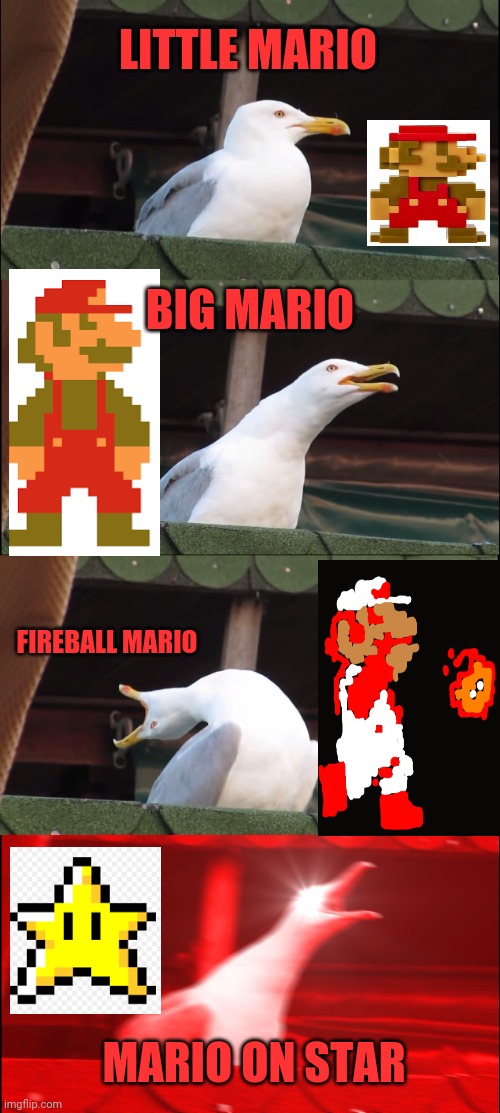 Mario world | LITTLE MARIO; BIG MARIO; FIREBALL MARIO; MARIO ON STAR | image tagged in memes,inhaling seagull | made w/ Imgflip meme maker