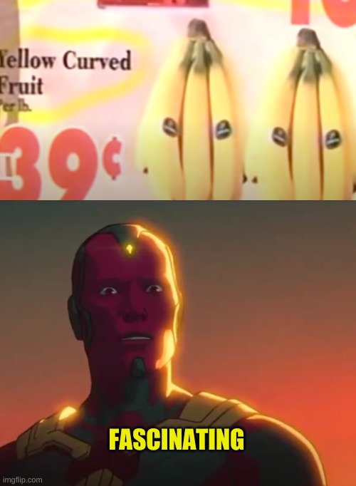 New Fruit? |  FASCINATING | image tagged in funny | made w/ Imgflip meme maker