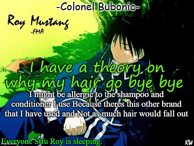 Roy nap ^^ | I have a theory on why my hair go bye bye; I might be allergic to the shampoo and conditioner I use Because theres this other brand that I have used and Not as much hair would fall out | image tagged in roy nap | made w/ Imgflip meme maker