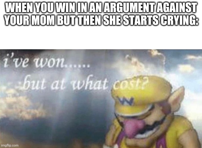 Shut up about your mom in the comments Im just trying to make a meme here | WHEN YOU WIN IN AN ARGUMENT AGAINST YOUR MOM BUT THEN SHE STARTS CRYING: | image tagged in ive won but at what cost | made w/ Imgflip meme maker