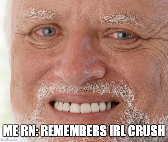 Hide the Pain Harold | ME RN: REMEMBERS IRL CRUSH | image tagged in hide the pain harold | made w/ Imgflip meme maker