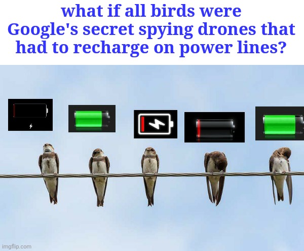 would explain how they know so much about us... |  what if all birds were Google's secret spying drones that had to recharge on power lines? | image tagged in funny,google,conspiracy,what if,drones,google search | made w/ Imgflip meme maker