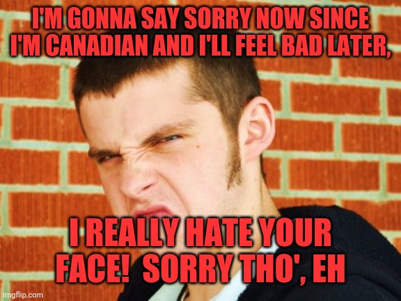 Canadian Thug | I'M GONNA SAY SORRY NOW SINCE I'M CANADIAN AND I'LL FEEL BAD LATER, I REALLY HATE YOUR FACE!  SORRY THO', EH | image tagged in canadian thug | made w/ Imgflip meme maker