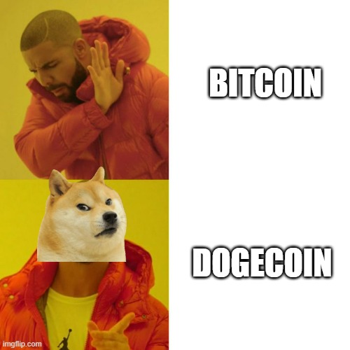 Drake Blank | BITCOIN; DOGECOIN | image tagged in drake blank | made w/ Imgflip meme maker