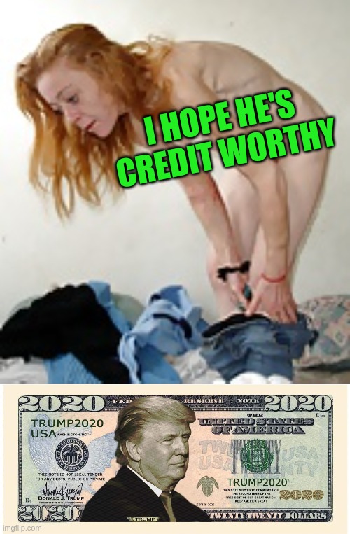 daddy's other girl | I HOPE HE'S CREDIT WORTHY | image tagged in trump dollar buck,stormy daniels,melania trump,prostitute,counterfeit money,dollar trump | made w/ Imgflip meme maker
