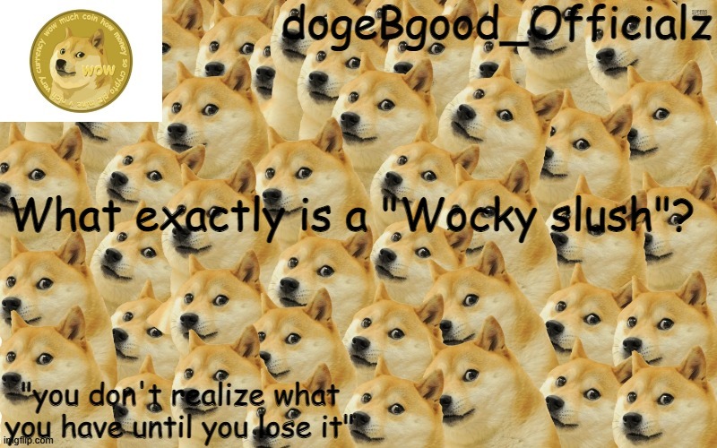 What is it? | What exactly is a "Wocky slush"? | image tagged in new temp,dogebgood_officialz | made w/ Imgflip meme maker