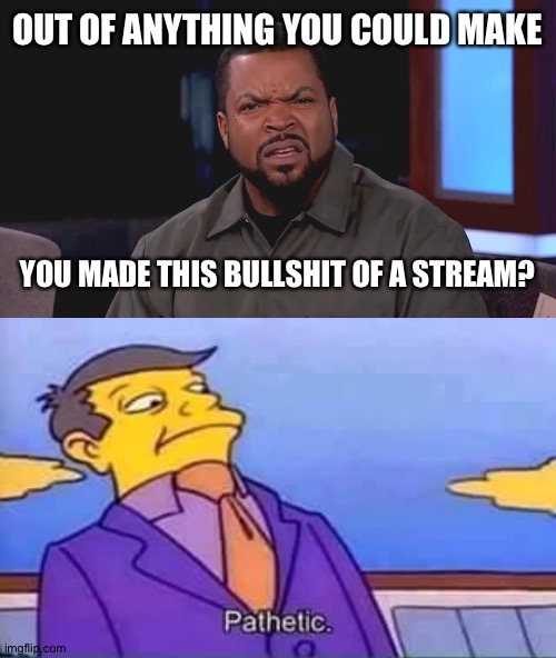OUT OF ANYTHING YOU COULD MAKE; YOU MADE THIS BULLSHIT OF A STREAM? | image tagged in really ice cube,skinner pathetic | made w/ Imgflip meme maker
