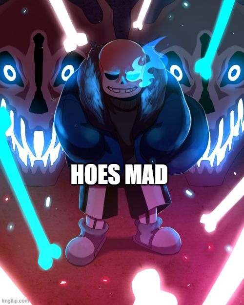 Sans Undertale | HOES MAD | image tagged in sans undertale | made w/ Imgflip meme maker
