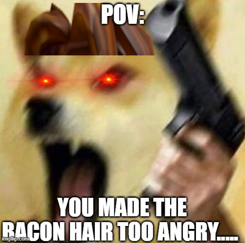 Angry doge with gun | POV:; YOU MADE THE BACON HAIR TOO ANGRY..... | image tagged in angry doge with gun | made w/ Imgflip meme maker