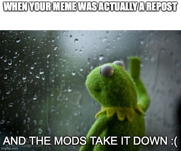 Goodbye "When you had one job" |  WHEN YOUR MEME WAS ACTUALLY A REPOST; AND THE MODS TAKE IT DOWN :( | image tagged in kermit window,goodbye | made w/ Imgflip meme maker