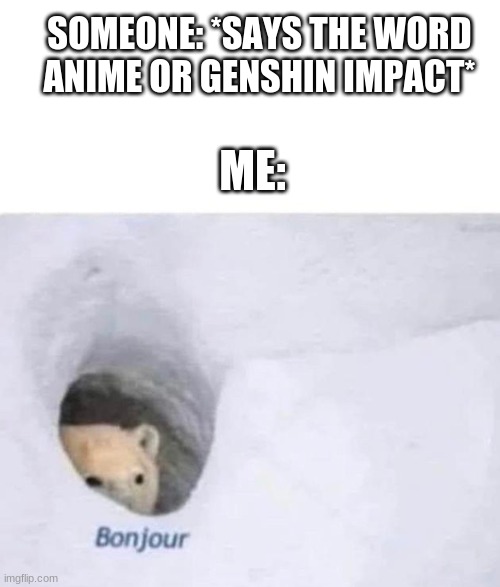 truth | SOMEONE: *SAYS THE WORD ANIME OR GENSHIN IMPACT*; ME: | image tagged in bonjour,anime,genshin impact,weeb | made w/ Imgflip meme maker