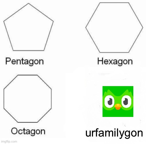 duolingo bird is behind you | urfamilygon | image tagged in memes,pentagon hexagon octagon,duolingo,family | made w/ Imgflip meme maker