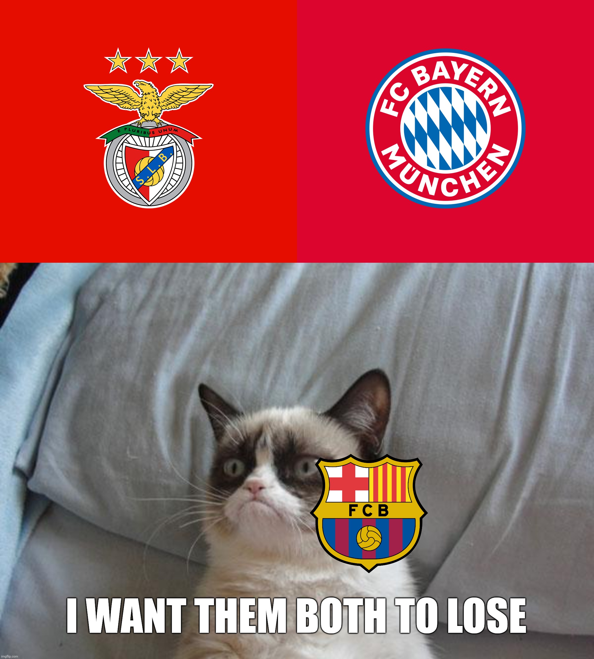 Benfica - Bayern Munich. Wednesday at 21:00 live on DAZN | I WANT THEM BOTH TO LOSE | image tagged in memes,grumpy cat bed,benfica,bayern munich,football,champions league | made w/ Imgflip meme maker
