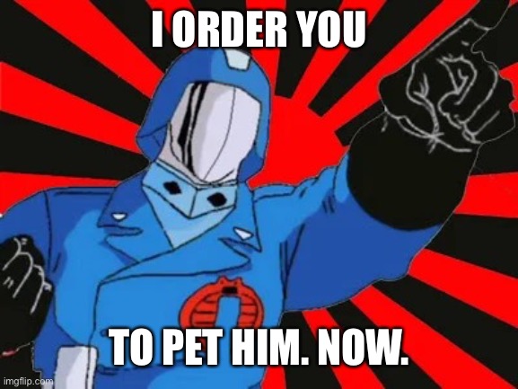 I order you… | I ORDER YOU TO PET HIM. NOW. | image tagged in i order you | made w/ Imgflip meme maker