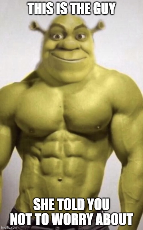 sexy shrek | THIS IS THE GUY; SHE TOLD YOU NOT TO WORRY ABOUT | image tagged in sexy shrek | made w/ Imgflip meme maker