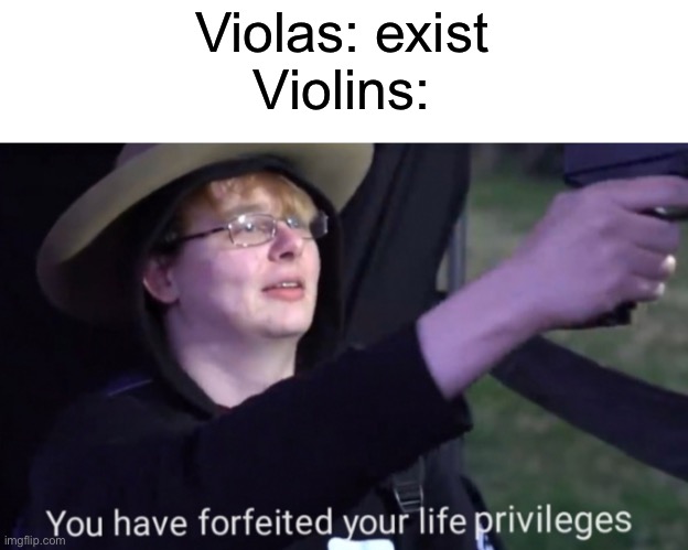 Poor violas | Violas: exist
Violins: | image tagged in you have forfeited your life privileges,violin,viola,classical music,oh wow are you actually reading these tags | made w/ Imgflip meme maker