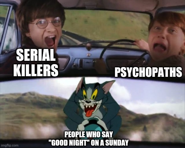 Bad Night | PSYCHOPATHS; SERIAL KILLERS; PEOPLE WHO SAY "GOOD NIGHT" ON A SUNDAY | image tagged in tom chasing harry and ron weasly,good night,monday | made w/ Imgflip meme maker