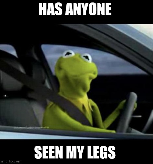 Kermit Driving | HAS ANYONE; SEEN MY LEGS | image tagged in kermit driving | made w/ Imgflip meme maker